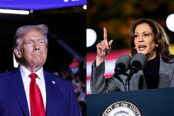 Trump, Harris