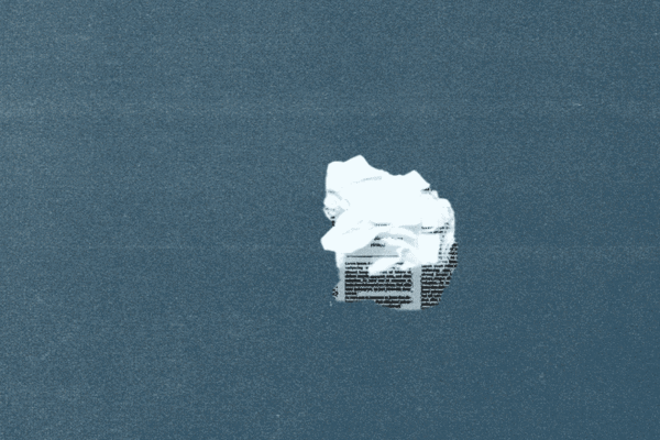 Digiday+ Research: Cómo impactó la programática para los editores en 2024
