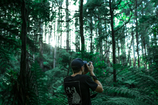 Man taking a photo in a camera in a lush forest to illustrate creating content for Instagram account