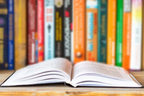 12 grandes ideas de libros de negocios publicados en 2024