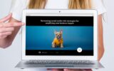 Cree sitios web profesionales sin codificar ni pagar más de una vez