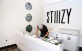 La empresa de cannabis Stiiizy dice que los piratas informáticos accedieron a los documentos de identificación de los clientes