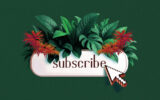 A subscribe button surrounded by lush green and red tropical plants, symbolizing how publishers cultivate and grow loyalty among their subscribers