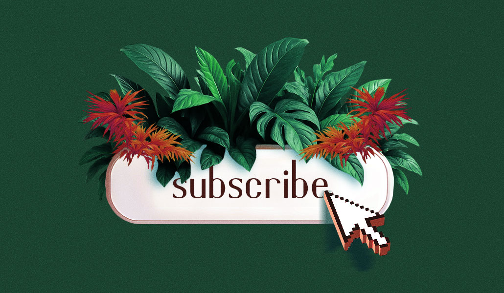 A subscribe button surrounded by lush green and red tropical plants, symbolizing how publishers cultivate and grow loyalty among their subscribers